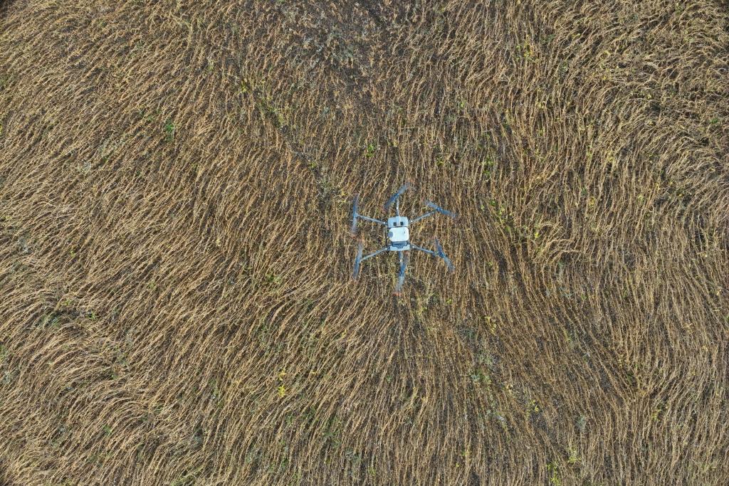 новость на сайт_смартдрон_в текст_2 09_10_2023.jpg