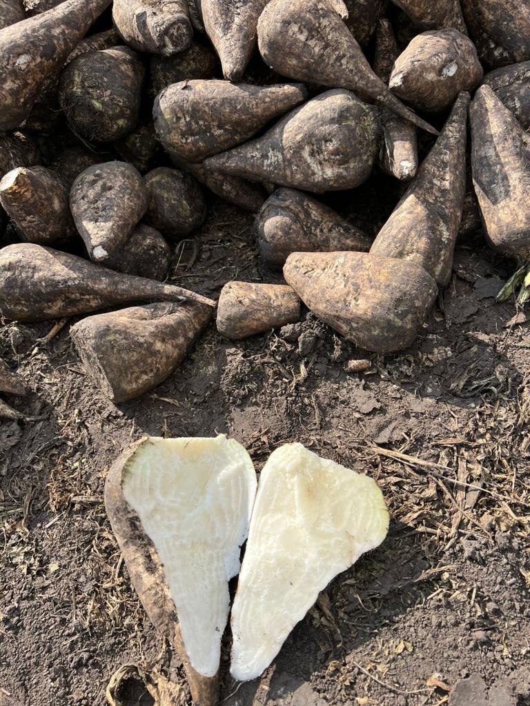 Липецк 2 25_09_2023.jpeg