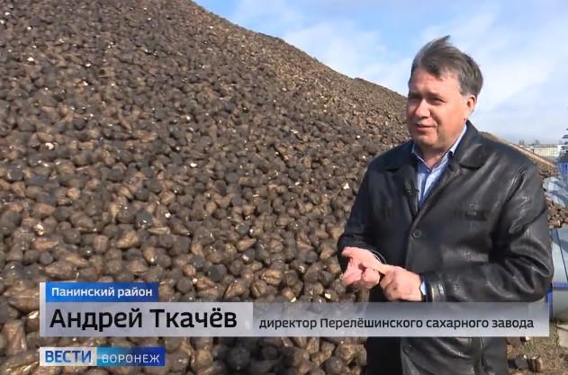 Вести Воронеж_Ткачев_2 19_10_2023.jpg